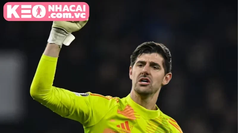 Tỷ lệ cược và Dự đoán