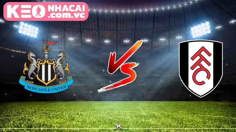 Tổng quan góc nhìn toàn cảnh về trận cầu Newcastle United vs Fulham